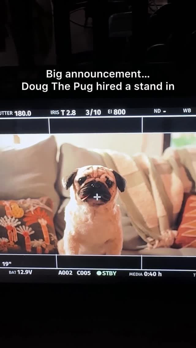 “If you need me, I’ll be in my trailer” -Doug

#aprilfools #pug #dogsofinstagram
