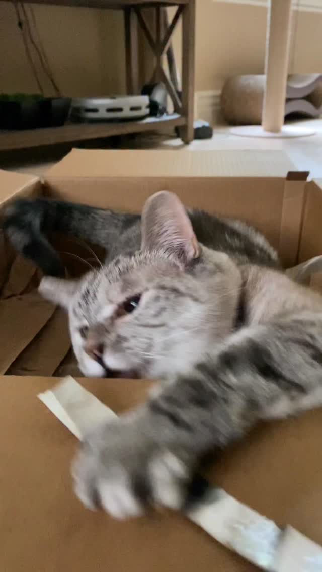 Order your really great box from @chewy While you’re there, try Nala’s irresisti