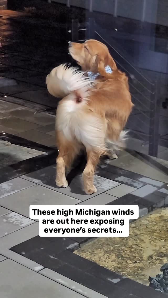 Michigan winds are apparently offering free colon inspections 💨