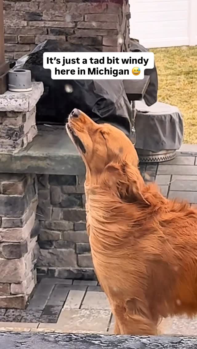 Todd’s sniffing out the gossip in all 50 states 💨