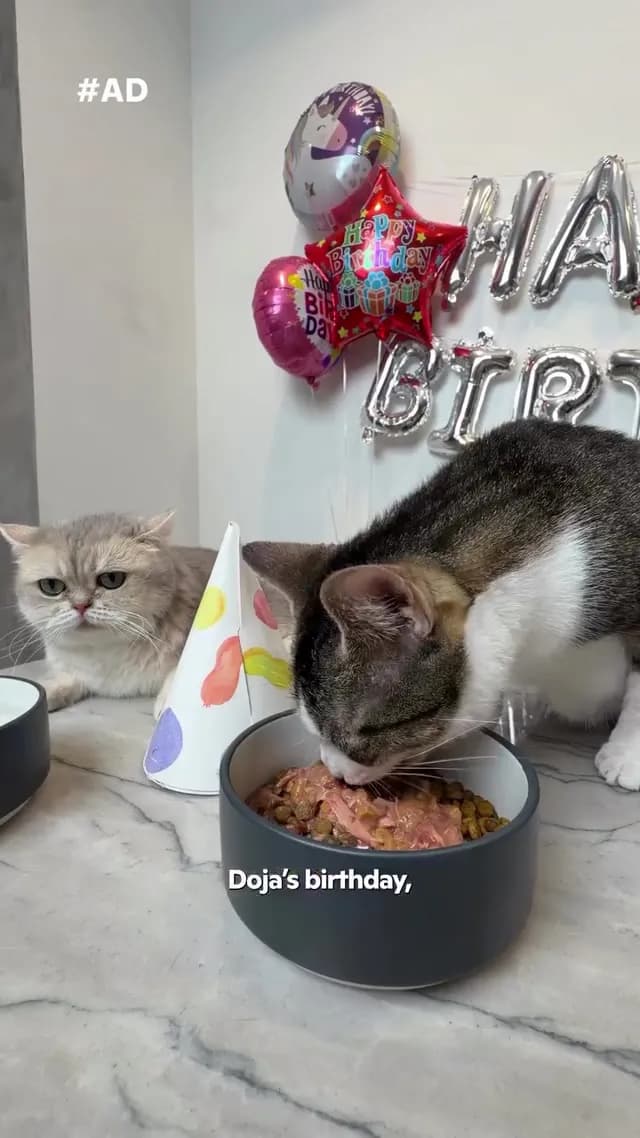 Doja’s birthday called for a very special dinner! I’m partnering with Rachael Ra