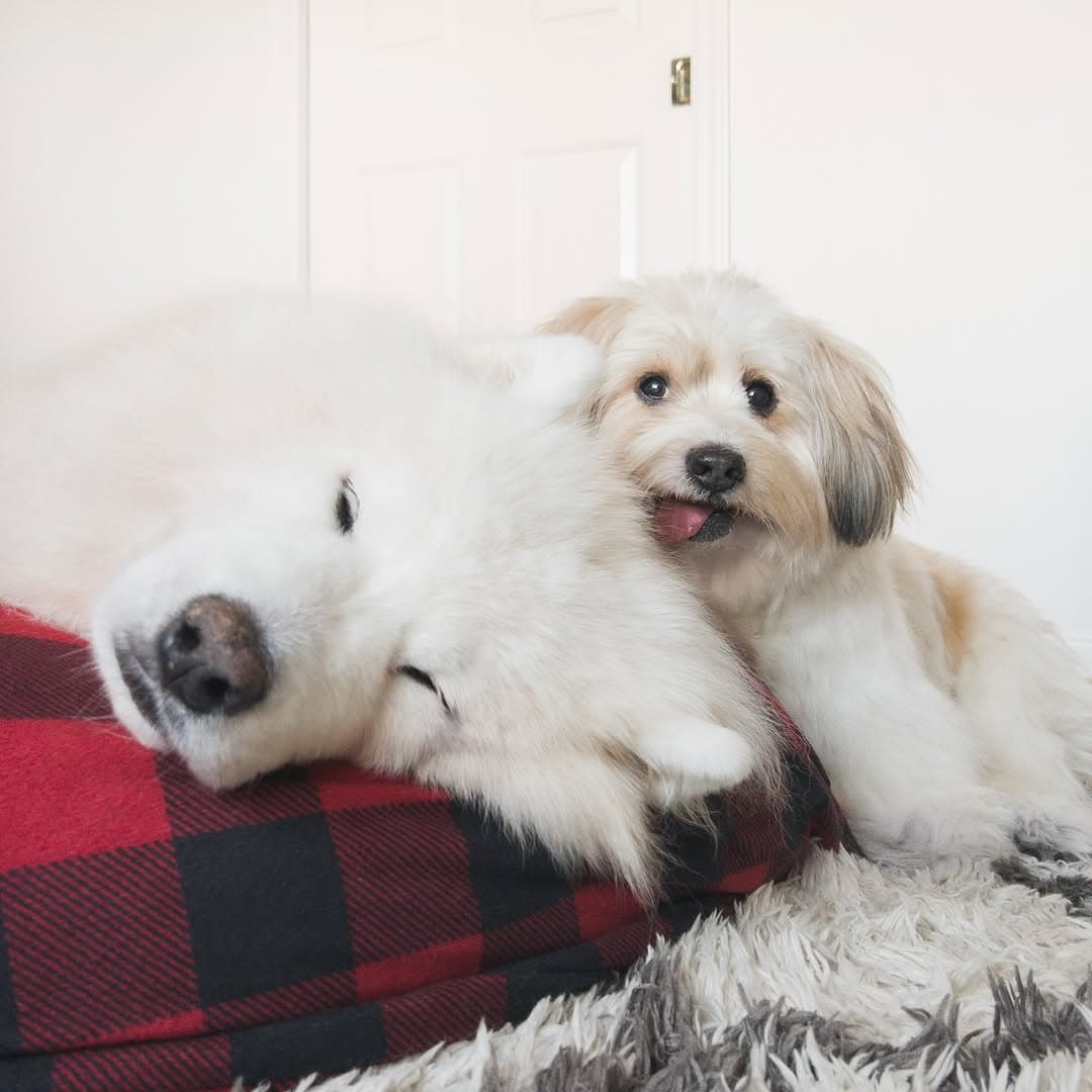 Waiting for Bear Bear to wakey wakey 😴
