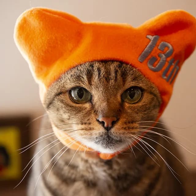 はな13才になりました!
ティーンエイジャーを満喫してね☆
Hana is now 13 years old!
Enjoy being a teenager